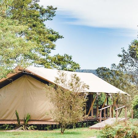 מאונט בורל Silk Pavilions Glamping מראה חיצוני תמונה