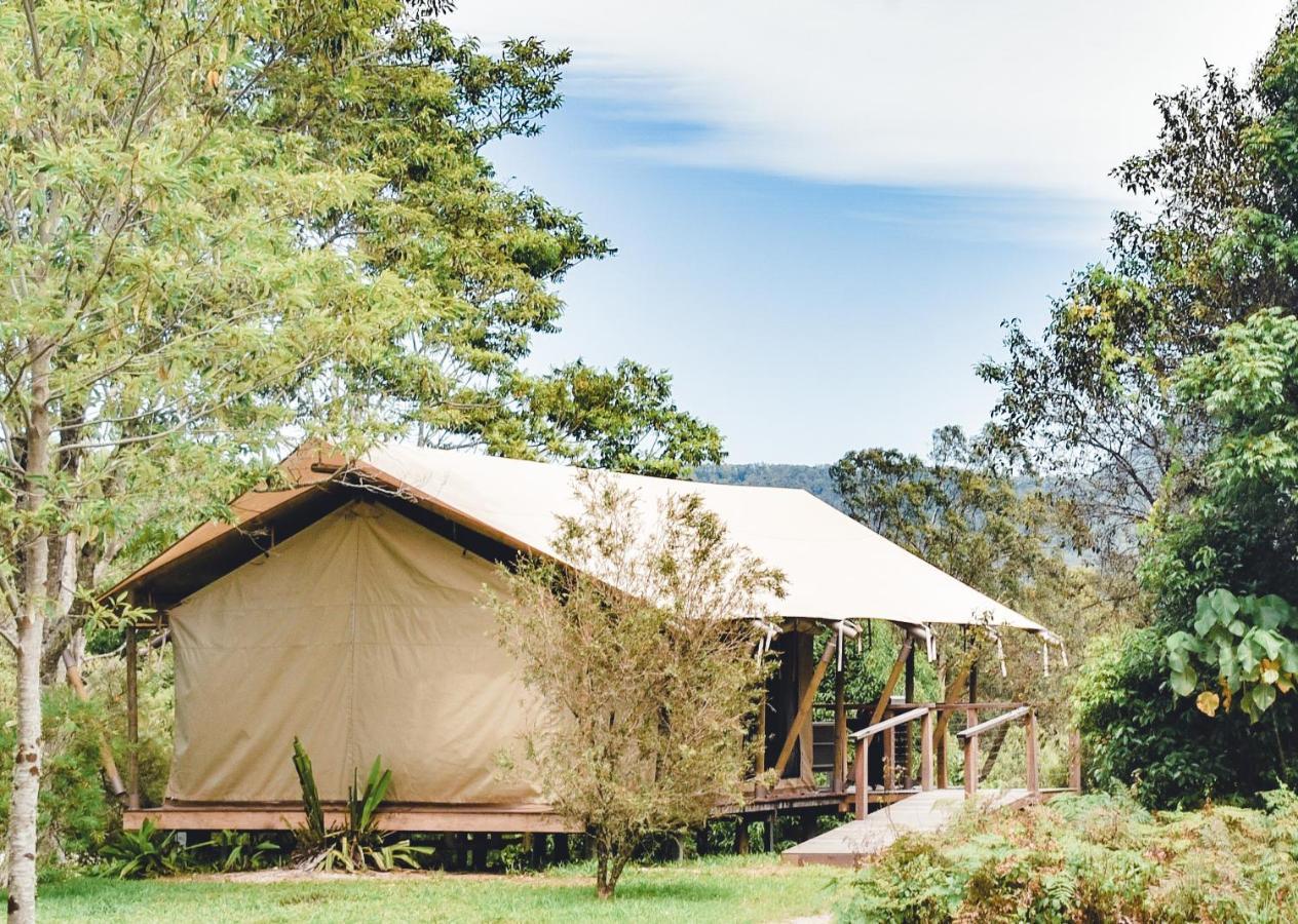 מאונט בורל Silk Pavilions Glamping מראה חיצוני תמונה