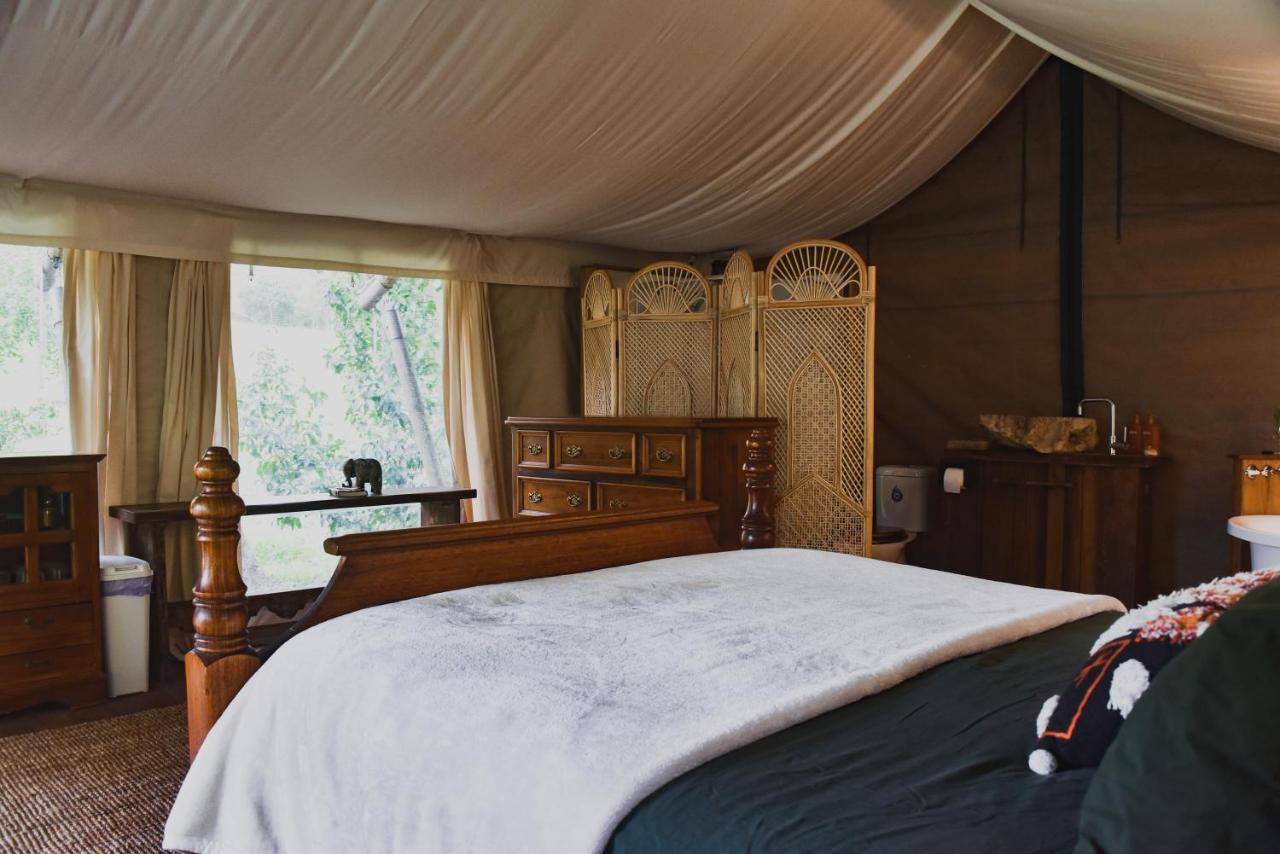 מאונט בורל Silk Pavilions Glamping מראה חיצוני תמונה