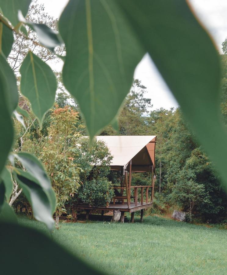 מאונט בורל Silk Pavilions Glamping מראה חיצוני תמונה