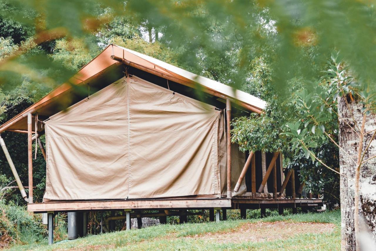 מאונט בורל Silk Pavilions Glamping מראה חיצוני תמונה