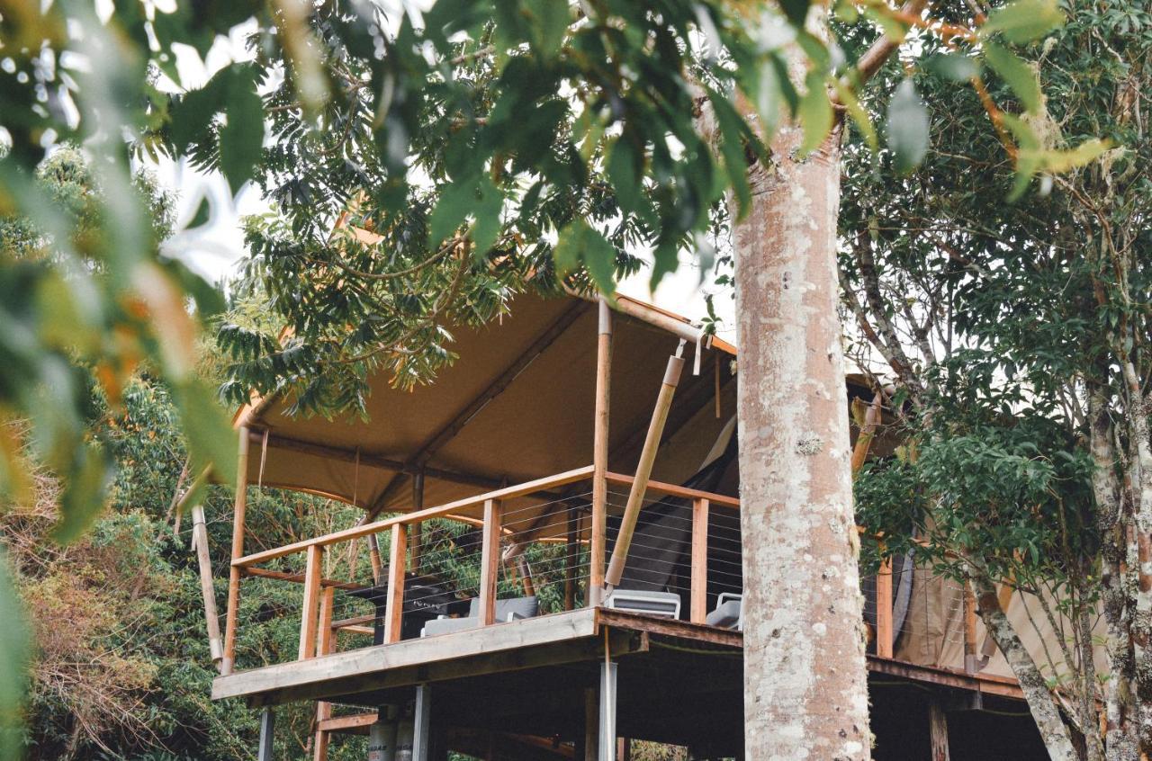 מאונט בורל Silk Pavilions Glamping מראה חיצוני תמונה